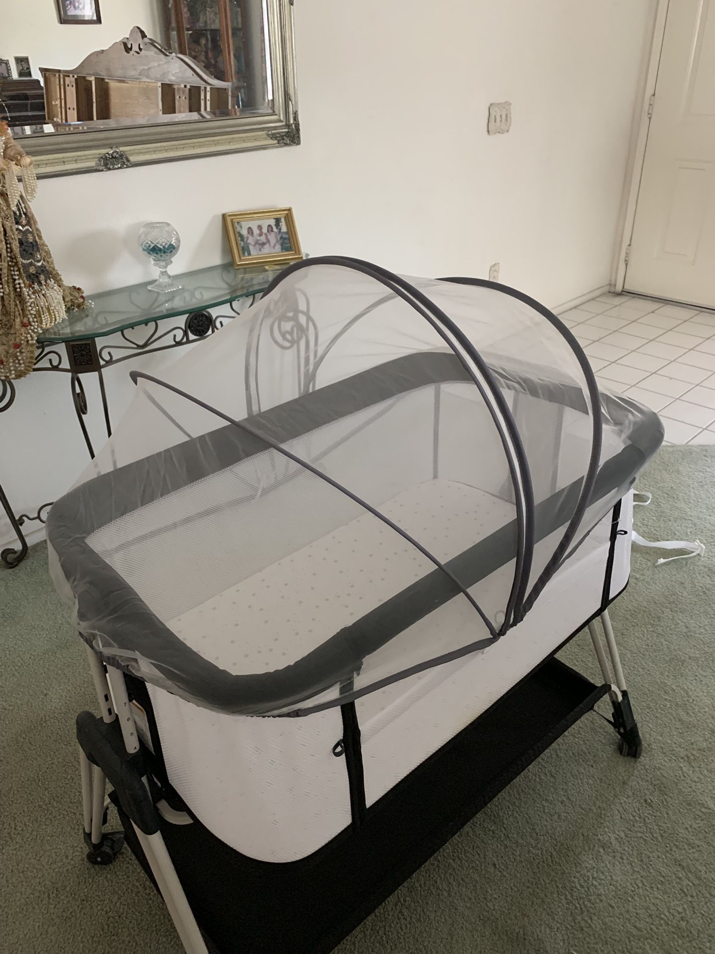 Bassinet With Protective Netting