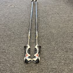 LEKI Composite 16S Snow Ski Poles 48” (120cm) 