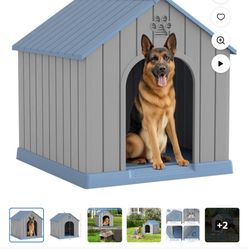 Dog House 