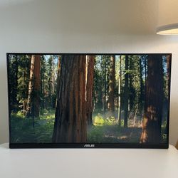 ASUS 27” Monitor