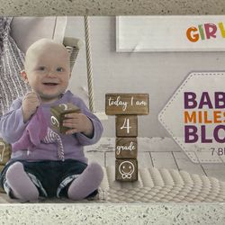 Baby Milestone Blocks