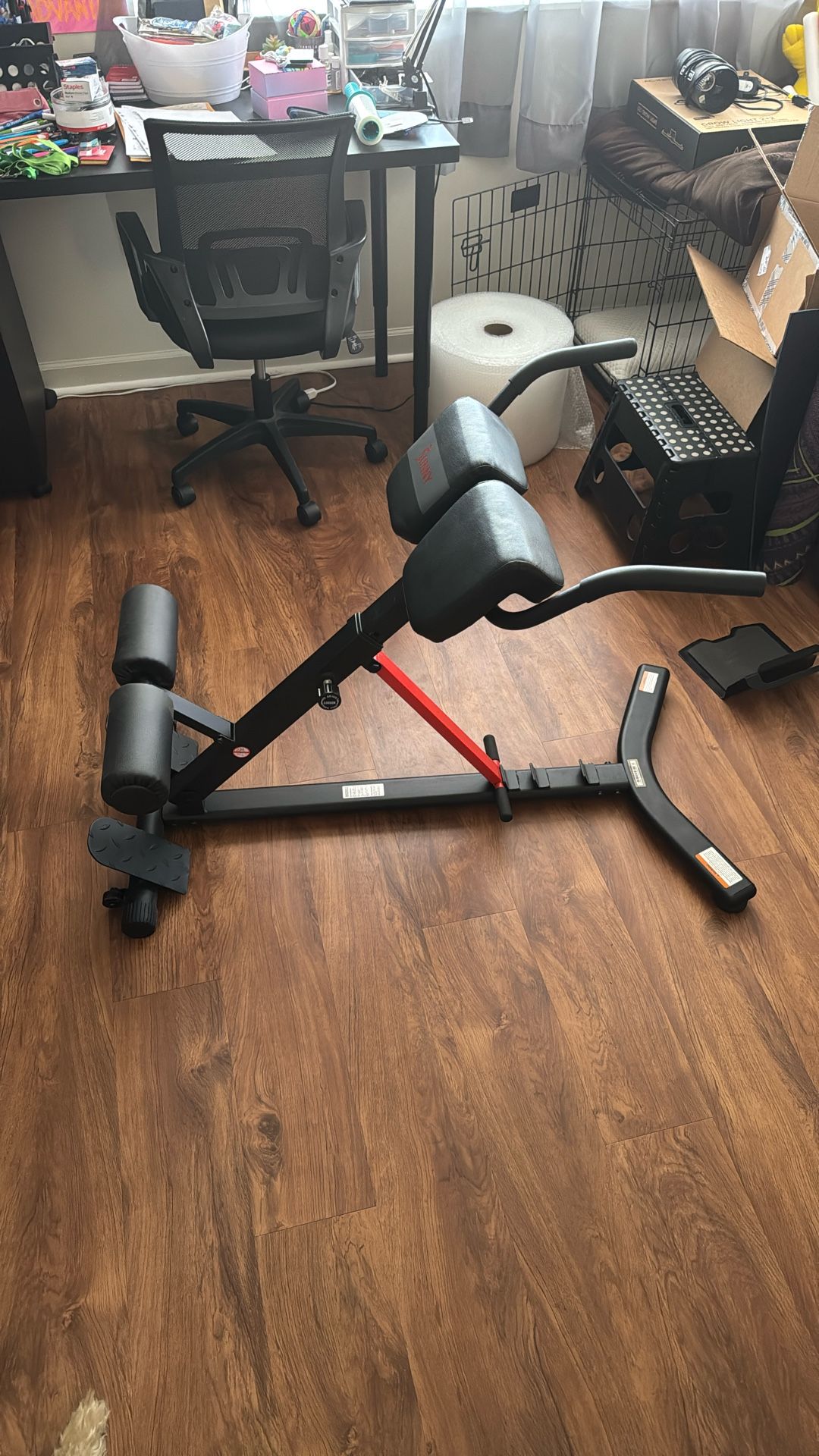 Sunny Hyperextension