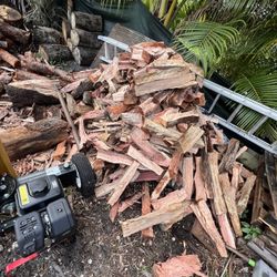 firewood for sale - 25 pieces for $20