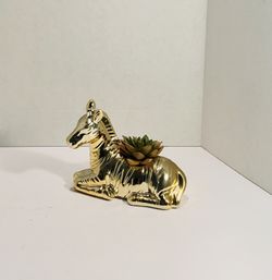 Ceramic Artificial Succulent Zebra!