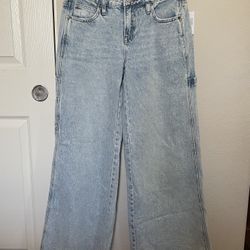 Women’s RSQ Low Rise Extreme Baggy Jeans, Size 25