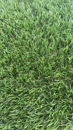 Artificial Turf - Snow 2.0