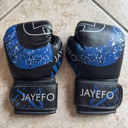 Youth Boxing Gloves 