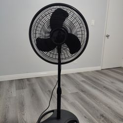 Fan