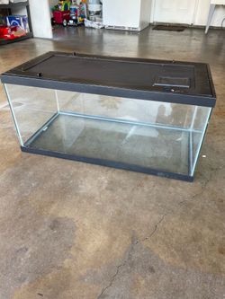 Terrarium Fish tank 40 gal.  With grill cover
