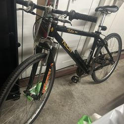 Klein Pulse Pro – Vintage Mountain Bike 