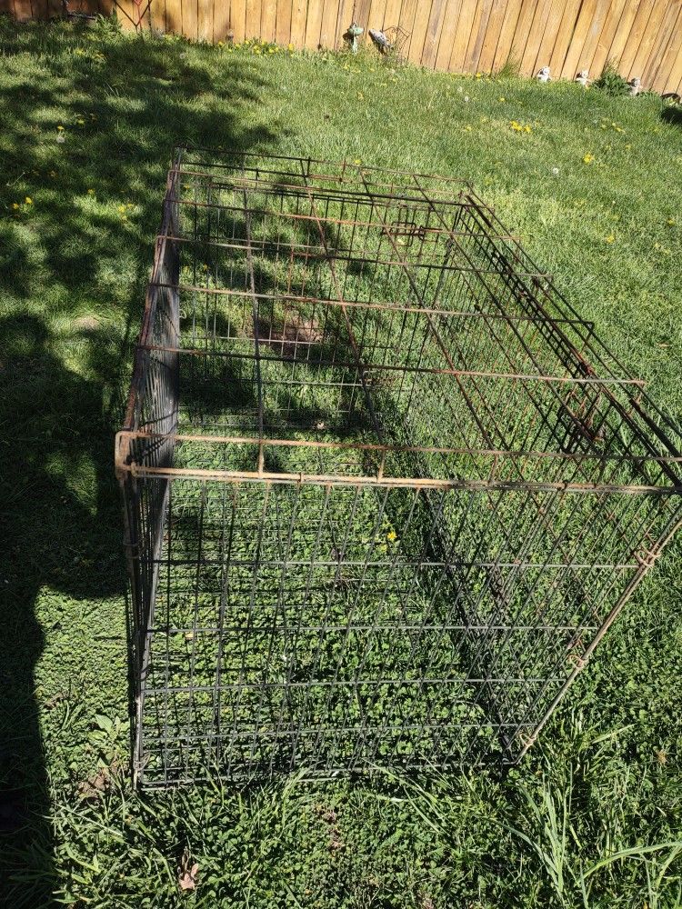 Very Large, Heavy, Animal Cage