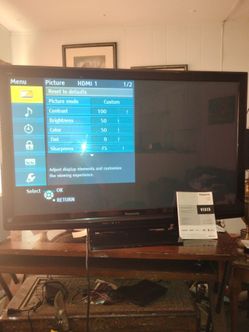 50" Panasonic Flat screen TV