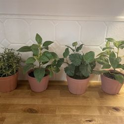 Fake / Faux Potted Plants