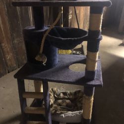 Cat Tower 