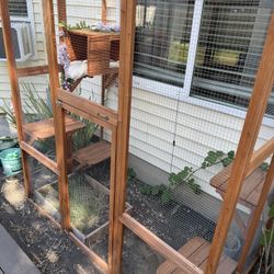 Cattio Or Chicken Coop.
