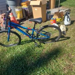 Giant Mt Bike