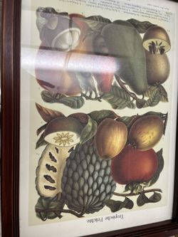 Very nice and detailed wood and glass antique server tray excellent condition