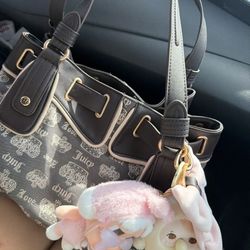 Brown Juicy Bag $20