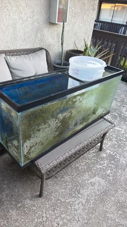 Fish tank free