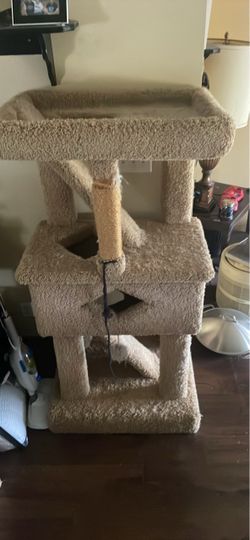 Cat condo