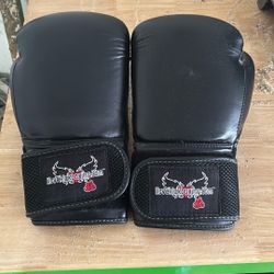 Century ILKB Boxing Gloves