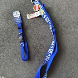 Dog Collar (10β-14β) and Leash (4 ft)