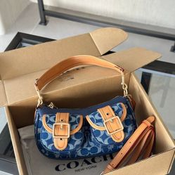 Coach Ashton Baguette Bag In Signature Canvas