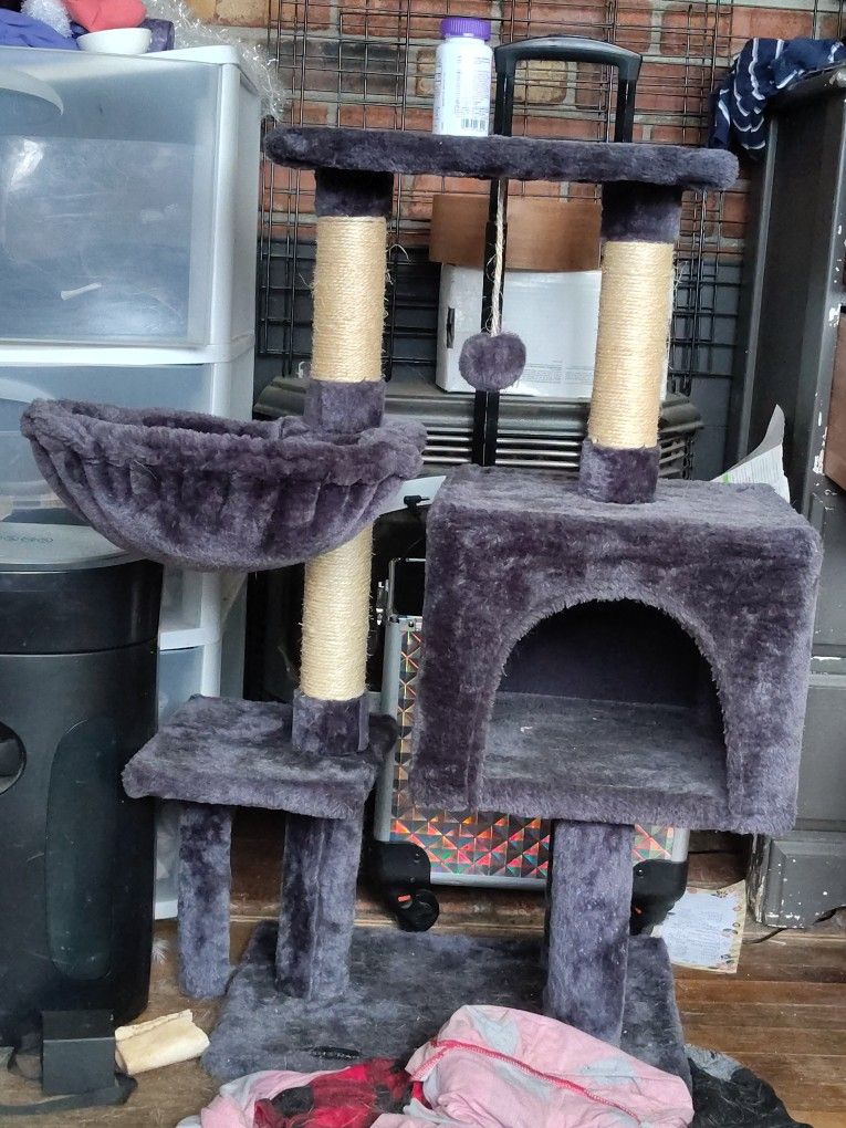 Cat Scratcher