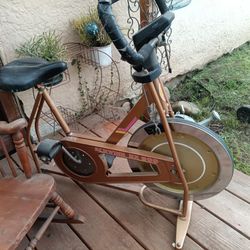 Exercise Bike Schwinn
