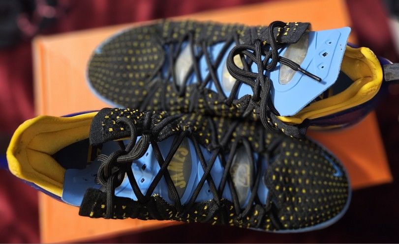 Nike LeBron James 23 (Lakers Heritage Shoes)