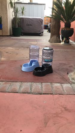 Dog Bowls