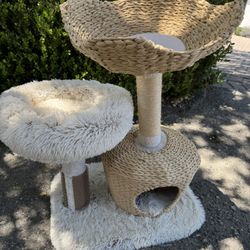 Cat Playground 