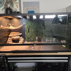 Reptile Habitat Enclosure 120 Gallons 4x4x2
