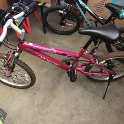 Magna Kids Bike