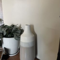 Tall Ceramic Vase From Home Goods