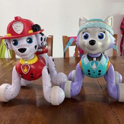 Paw Patrol Zoomers