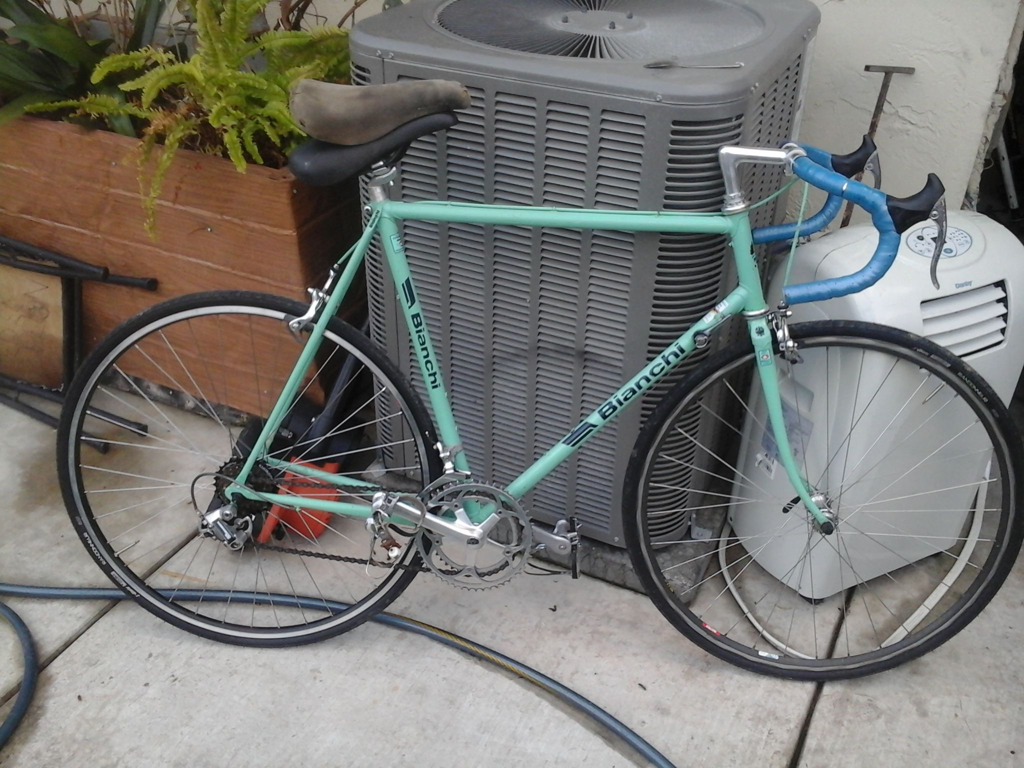 Bianchi Vintage sport SX Campione del Mondo 1986-87 Colorado Springs Edition 59c Bicycle