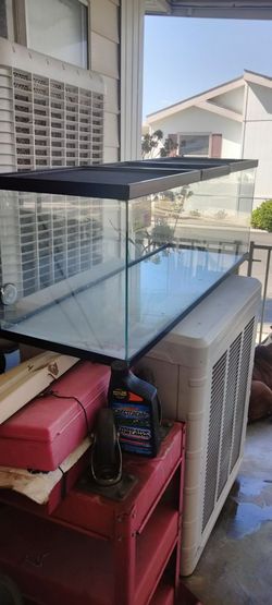Creative reptile aquarium
