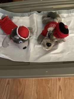 NC State Memorabilia 