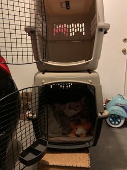 $20 Each Dog Carrier Kennel 28 x 20.5 x 21.5