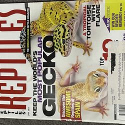 Reptil Magazines