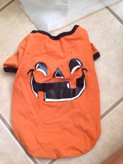 Size Medium Pet Halloween shirt