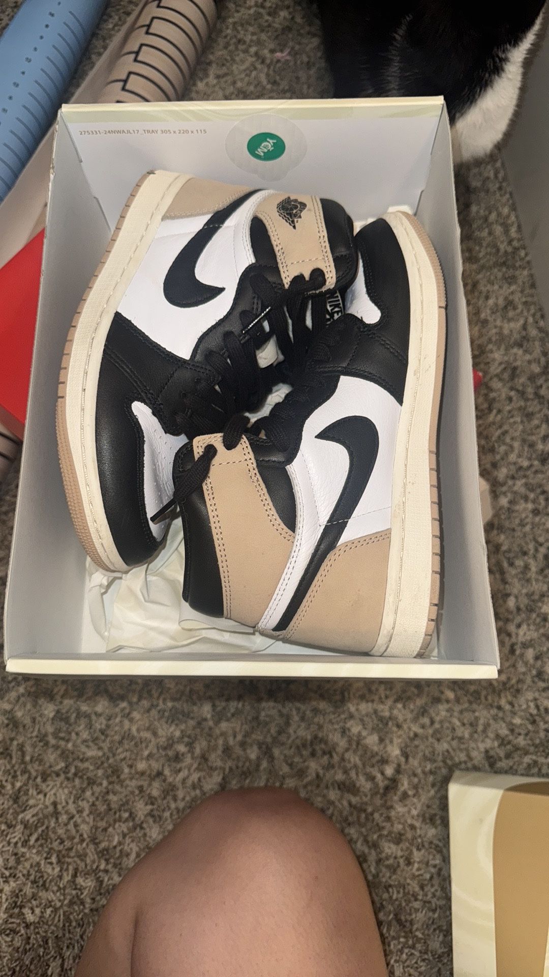 Women’s shoe