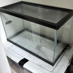 10 Gallon Tank