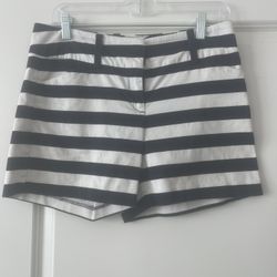 Women’s Ann Taylor Navy Blue/White Shorts - Size 4