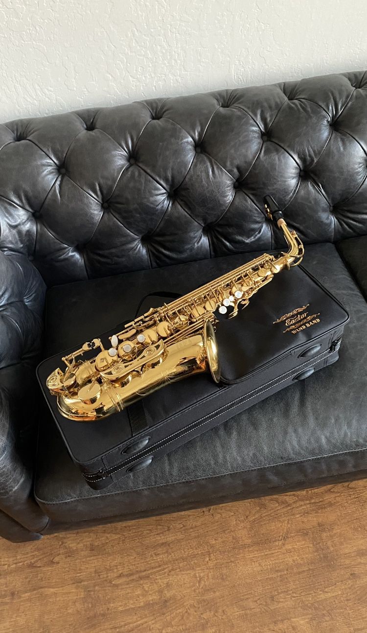 Alto Saxophone Brand New
