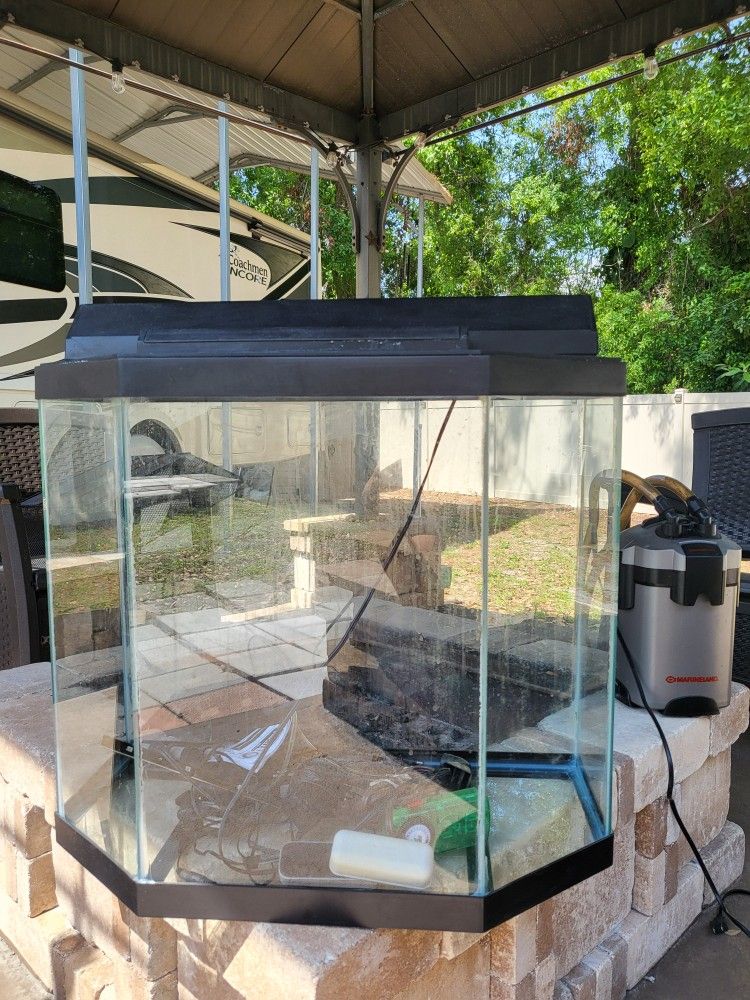 20 Gallon Tall Hexagon Tank W/ Filter & Lighted Reflector Top