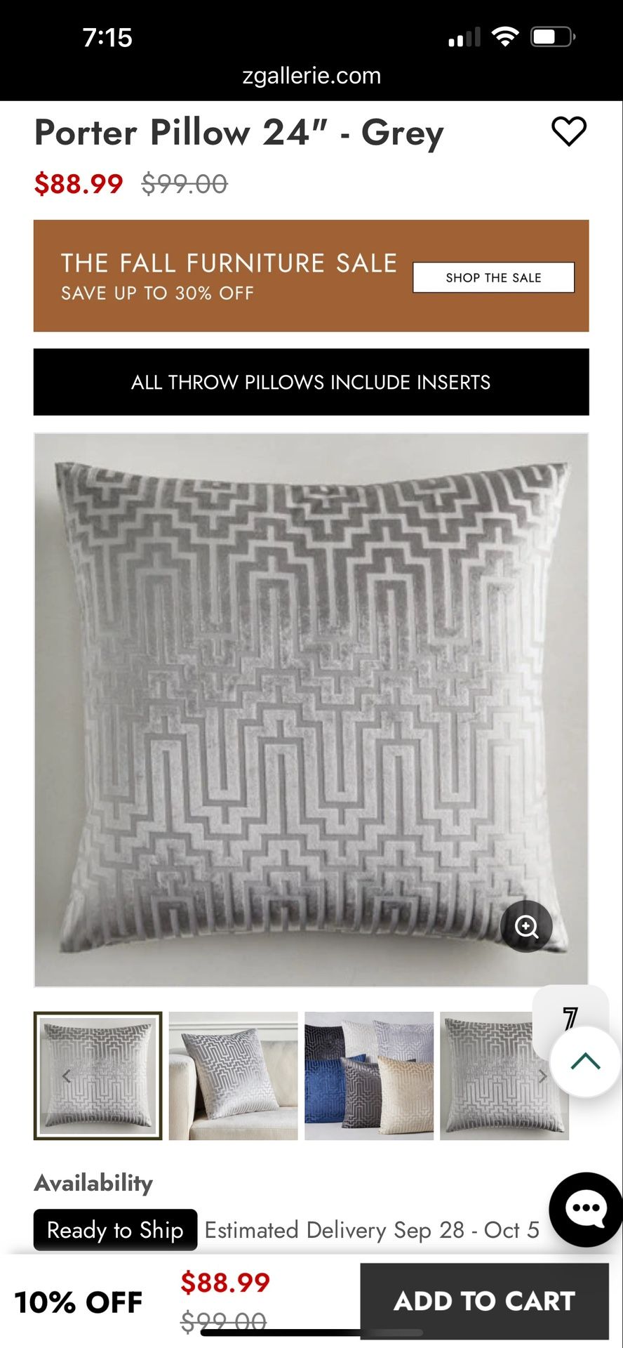 Z Gallerie Pillow Silver 