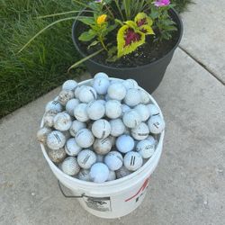 351 Golf Balls. 