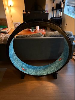 Cat Exercise Wheel